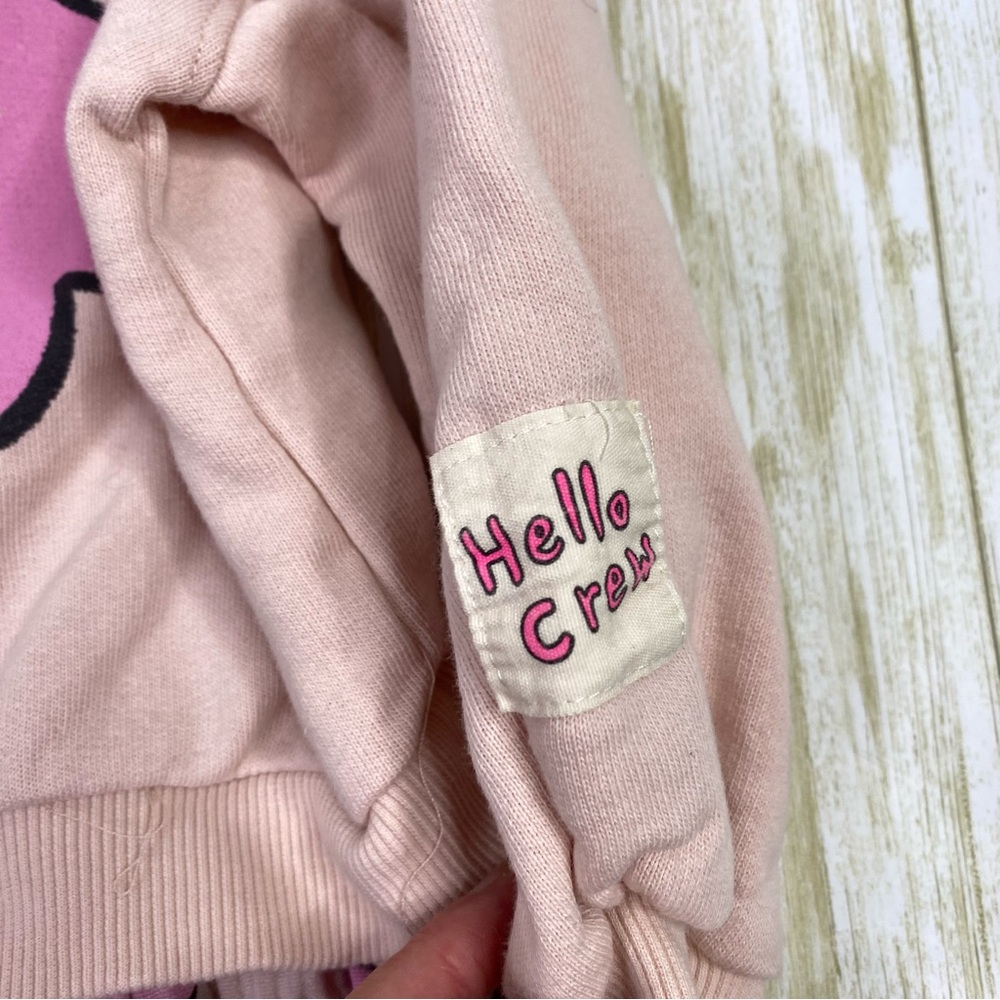 Zara Kids Pink Contrasting Apple Long Sleeve Dress - Picture 4 of 7